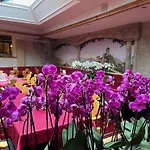 Tieflehner Hof Hotel 3*